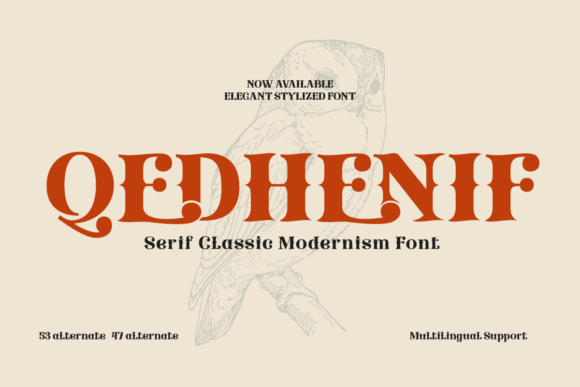 Finding Your Brand's Voice with the Qedhenif Font