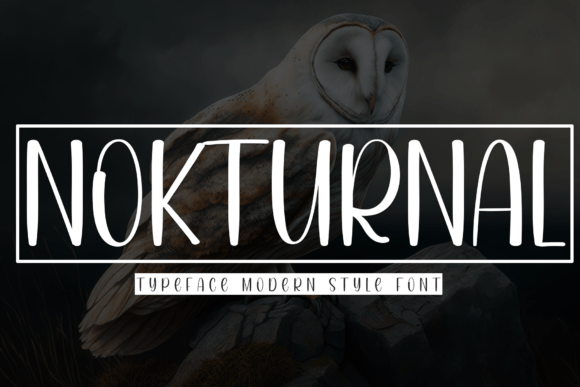 Why Nokturnal Became My Go-To Friendly Display Font